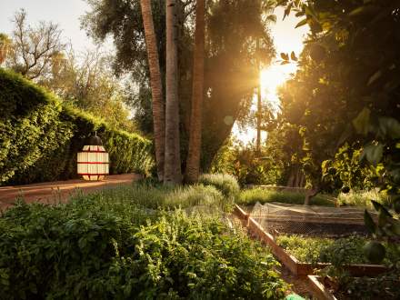 La Mamounia’s Gardens in Marrakesh, Morocco