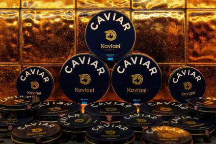 Churchill Bar Marrakech Hivernage La Mamounia