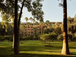 Jardins Palace La Mamounia Marrakech