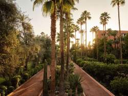 Jardins The Mamounia Luxury Palace Marrakesh, Morocco