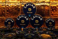 Churchill Palace La Mamounia Marrakech