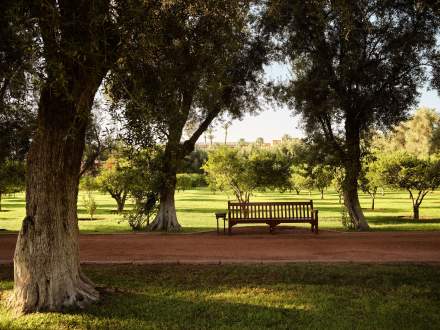 La Mamounia’s Gardens in Marrakesh, Morocco