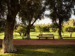 Jardins Palace La Mamounia Marrakech