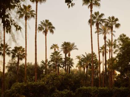 La Mamounia Luxury Palace Marrakesh, Morocco